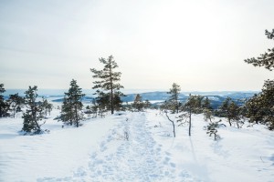 Vinterled på berg