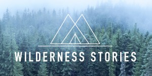 Wilderness Stories logo