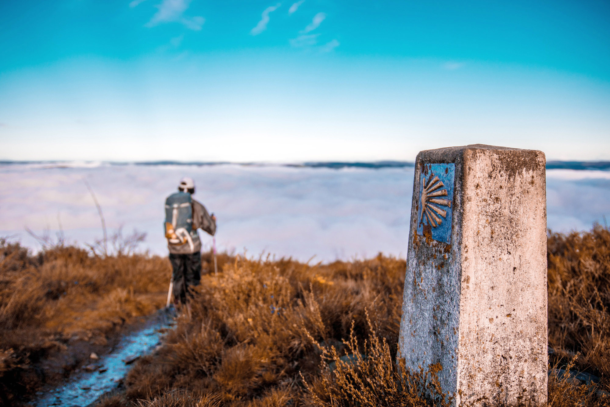 Pilgrim walking in Camino de Santiago, over a sea of clouds in the middle of the nature. We can see the icon of the shell.